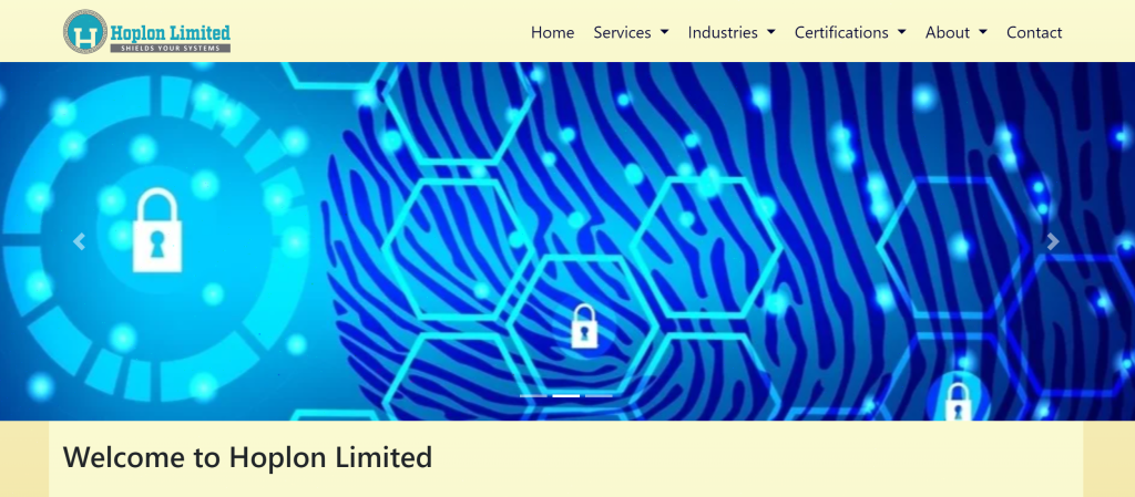 BITA Consultancy Services